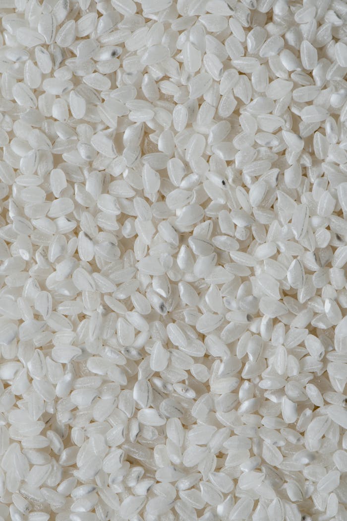 why-choose-us Detailed close-up of white rice grains showcasing texture and pattern.